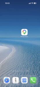 Google Map icon